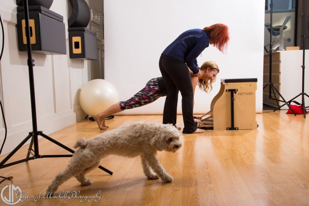 Photo of a dog doing pilates