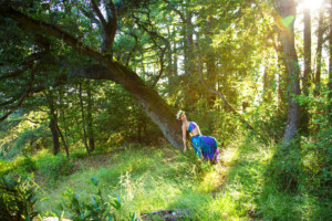 Forest fairy rests on a tree
