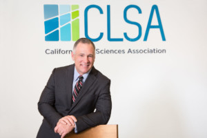 C-Suite executive portrait